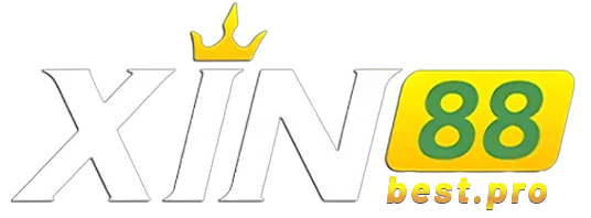 xin88best.pro